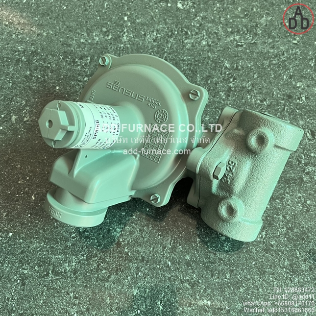 Sensus 496-20 Regulator(3)